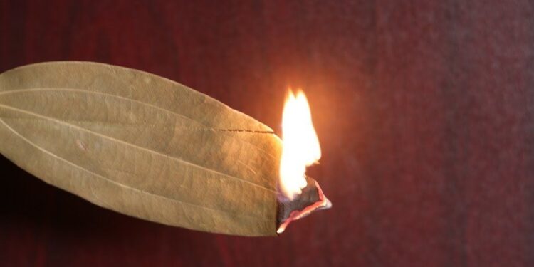घरमा तेजपत्ता जलाउँदा के हुन्छ ? यस्ता छन् चामत्कारिक गुण