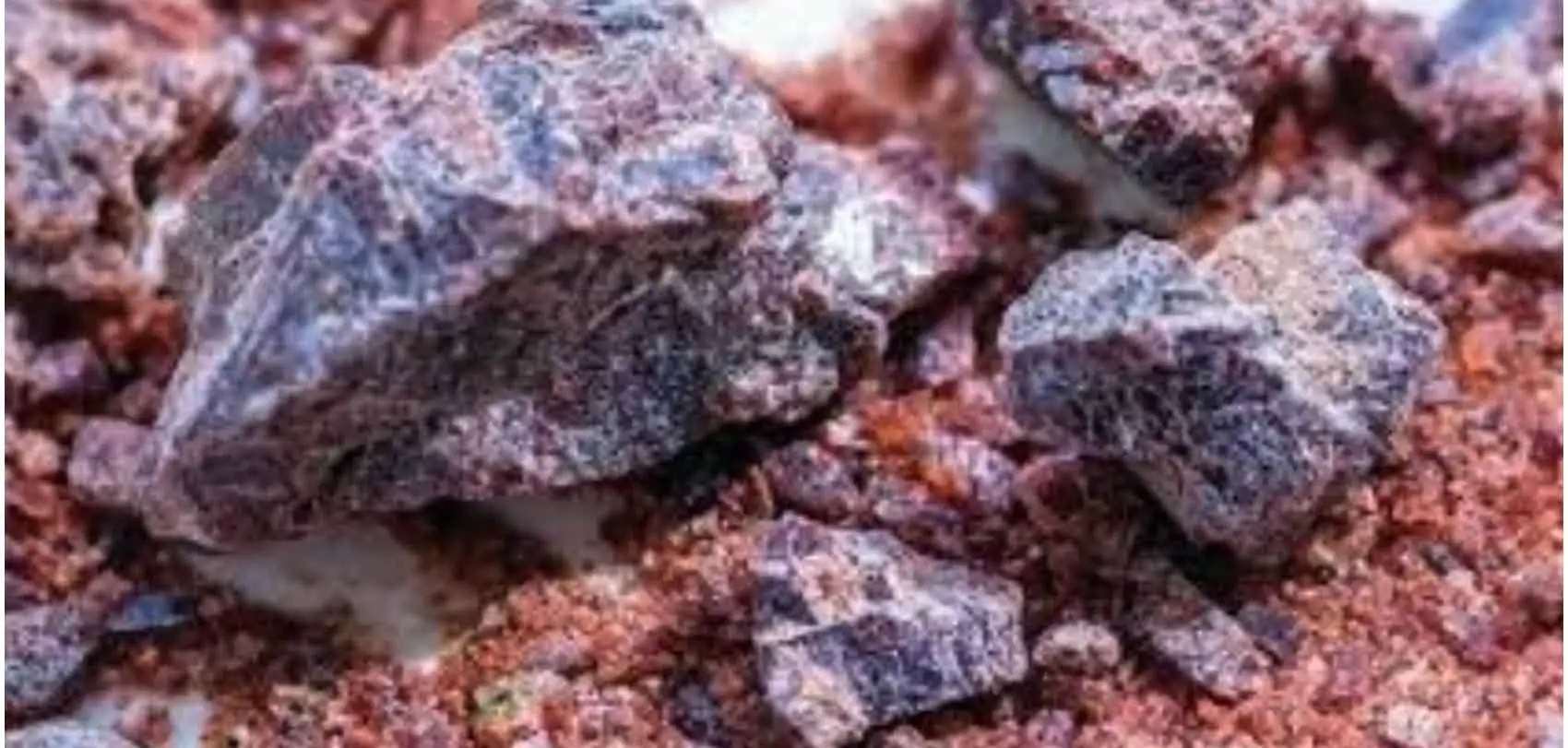 बहुउपयोगी बिरेनुन स्वास्थ्यका लागि फाइदाजनक