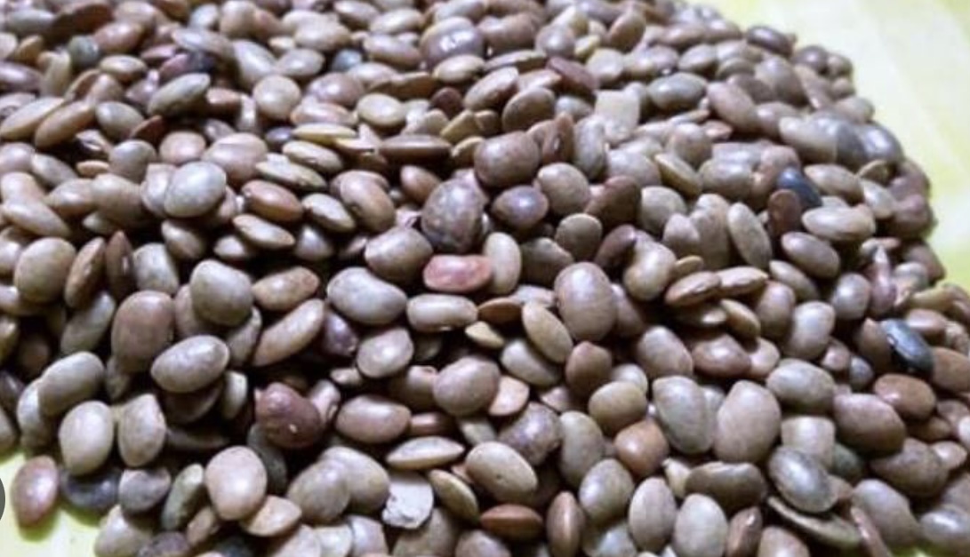 गहत पत्थरी फाल्ने अचूक घरेलु औषधी, खाने तरिका यस्तो छ