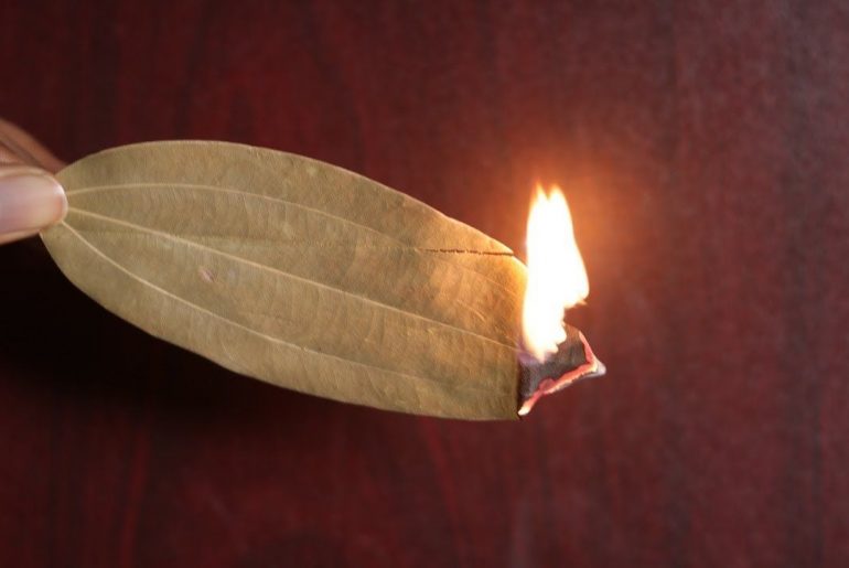 घरमा तेजपत्ता जलाउँदा के हुन्छ ? यस्ता छन् चामत्कारिक गुणहरूः