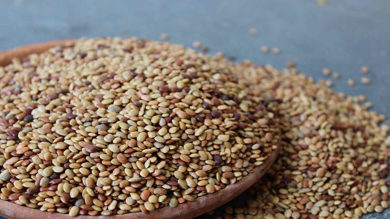 जस्तो सुकै पत्थरी फाल्ने अचुक घरेलु औषधि गहत, यस्तो छ खाने तरिका !
