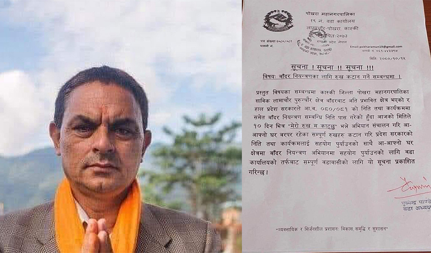 बाँदर नियन्त्रणका लागि भन्दै वडाध्यक्षले जारी गरे रुख काट्ने उर्दी