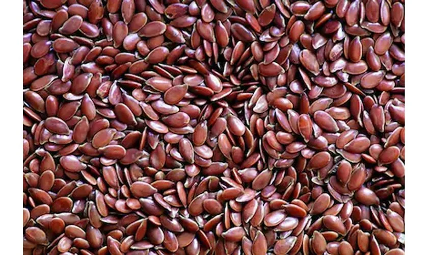 पेट सम्बन्धी रोगलाई जरैदेखि हटाइदिन्छ यो दानाले