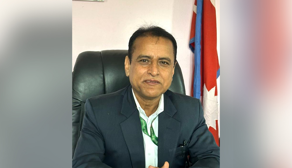प्रदेश वन सचिव सवार गाडीमा ढुङ्गा प्रहार