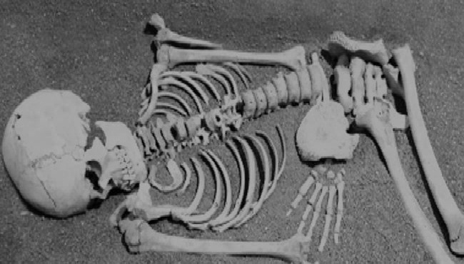 फेला पर्‍यो १३ वर्षिया श्रेष्ठको कंकाल