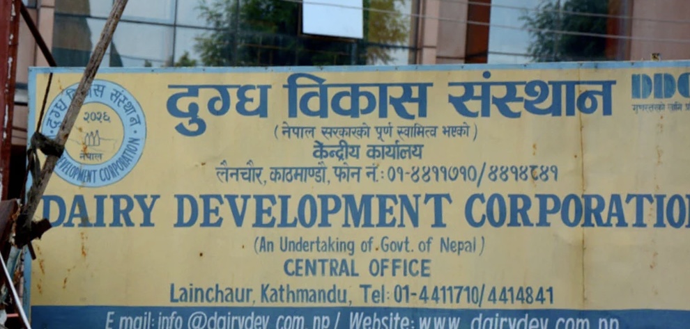 डीडीसीका महाप्रबन्धक सञ्जीव झालाई कार्यकक्षमै कालोमोसो