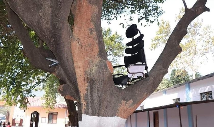 बुटवल बहुमुखी क्याम्पसका प्रमुखको कुर्सी रूखमा