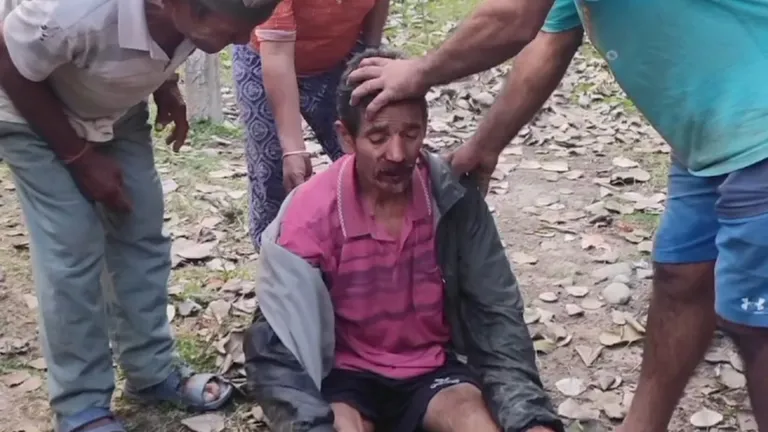 जंगली हात्तीको आक्रमणबाट श्रीमतीको मृत्यु, श्रीमान् घाइते