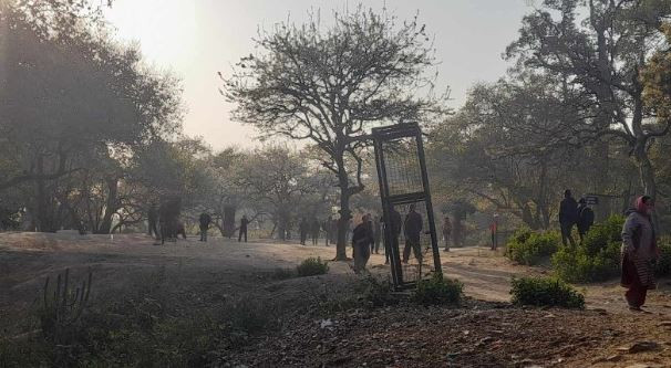 जंगलमा रुखमा झुण्डिएको अवस्थामा किशोरीको शव फेला