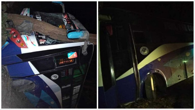 काठमाडौं आउँदै गरेको बस दुर्घटना