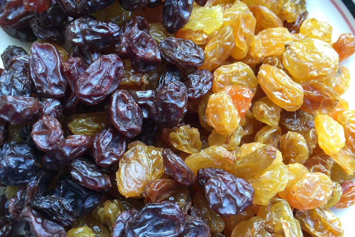 यस्ता छन् किसमिस खानुका फाइदा