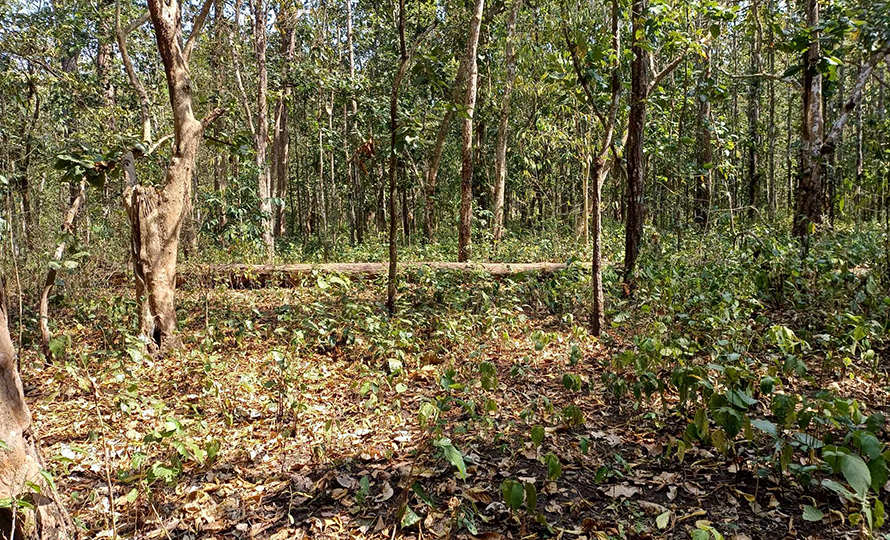 एसईई नतिजापछि कैलालीमा दुई किशोरी मृत फेला