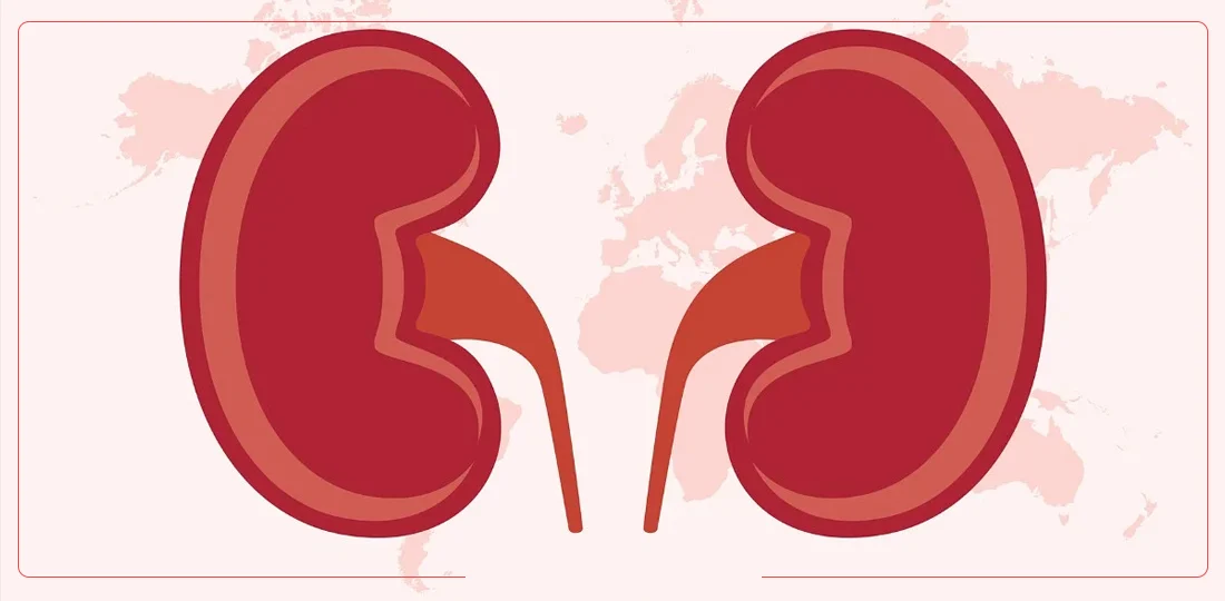 मधुमेहका रोगीमा किन देखिन्छ मिर्गौलाको समस्या ? कसरी बच्ने ?