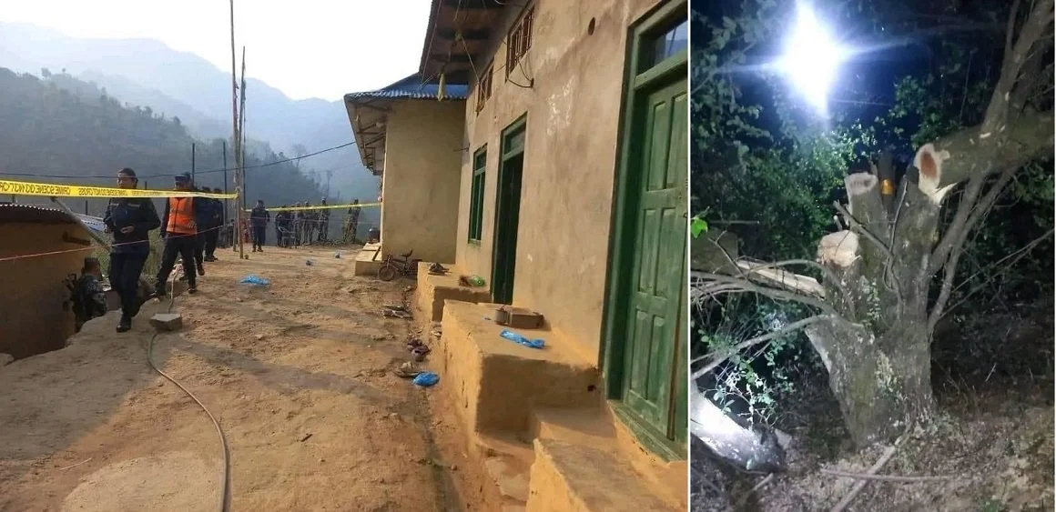 बुद्धचित्तको रुख काटेको घटनामा सोधपुछका लागि थप १ जना नियन्त्रणमा