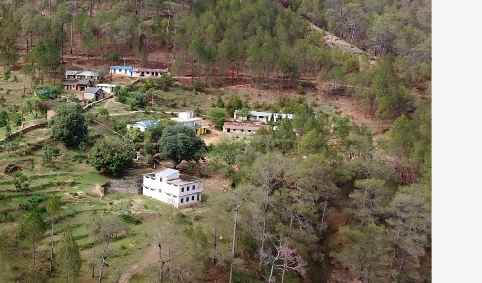 कक्षा ८ मा सबै विद्यार्थी फेल भएपछि…