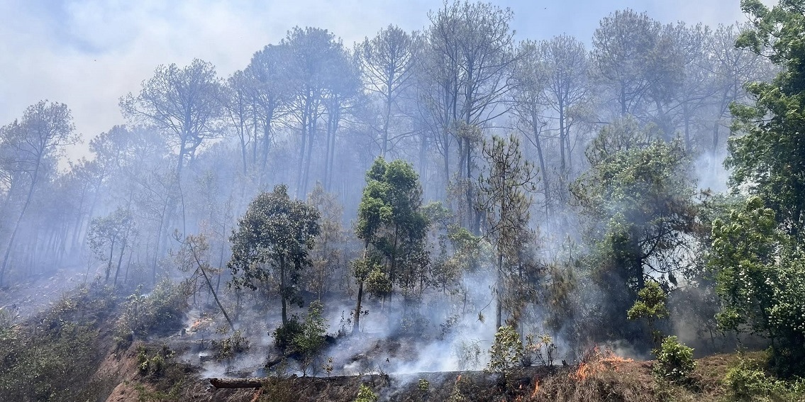 गोदावरीको आनन्द जंगलमा लागेको डढेलो निभाउन गएका एकको मृत्यु