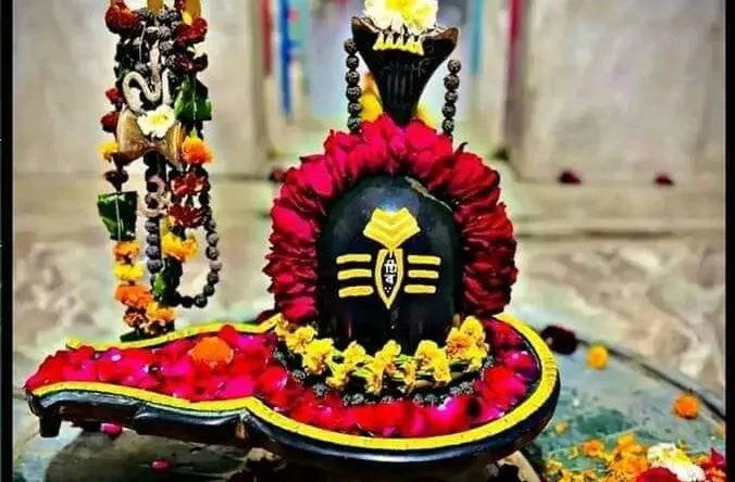 शनि लग्नमा कस्तो प्रभाव दिन्छ?