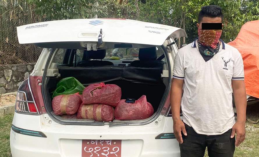९ किलो गाँजासहित कार चालक पक्राउ