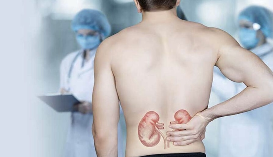 मिर्गौला स्वस्थ्य छ वा छैन कसरी थाहा पाउने ? बिग्रन नदिन के गर्ने ? जानी राखौं