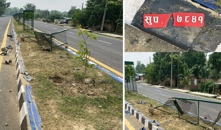 यसरी ट्री गार्ड भाँचेर मोटरसाइकल फरार भएपछि