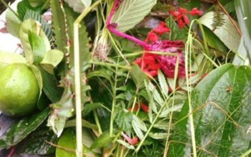 आज साउने संक्रान्ति, कस्तो छ पौराणिक महत्व ?