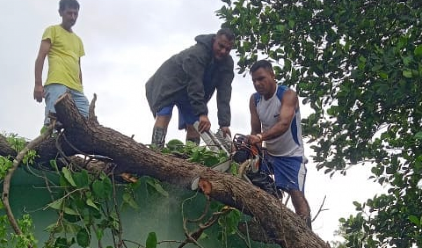 यसरी घरमाथि रूख ढलेपछि…