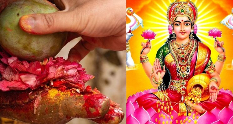 आगामी ५ महिना यी राशिलाई शुभ नै शुभ, मिल्नेछ माता लक्ष्मीको साथ !