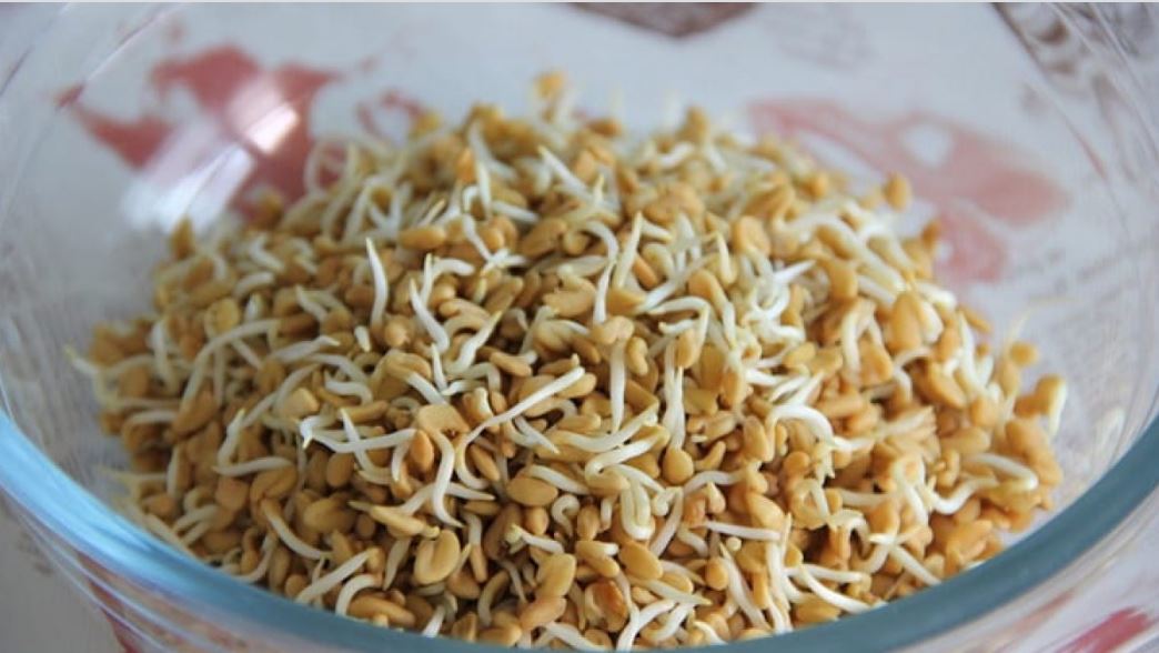 यस्ता छन् टुसाएको मेथी खाँदा हुने फाइदा