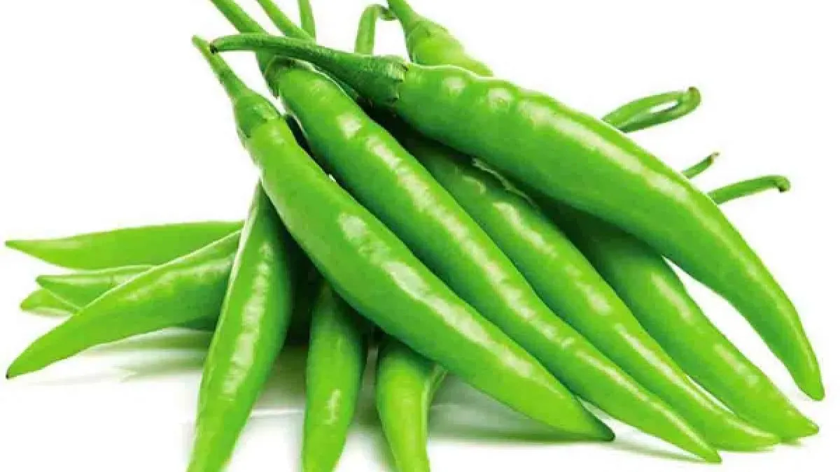 पिरो खुर्सानीको सेवनले निको पार्छ यस्ता रोगहरू