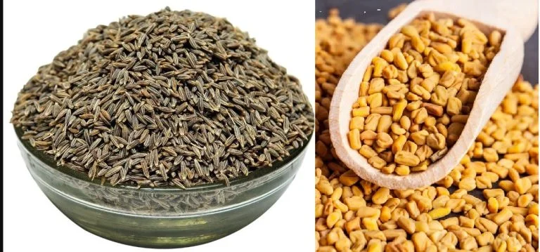 जीरा र मेथी पानी पिउँदा स्वास्थ्यलाई फाइदै फाईदा