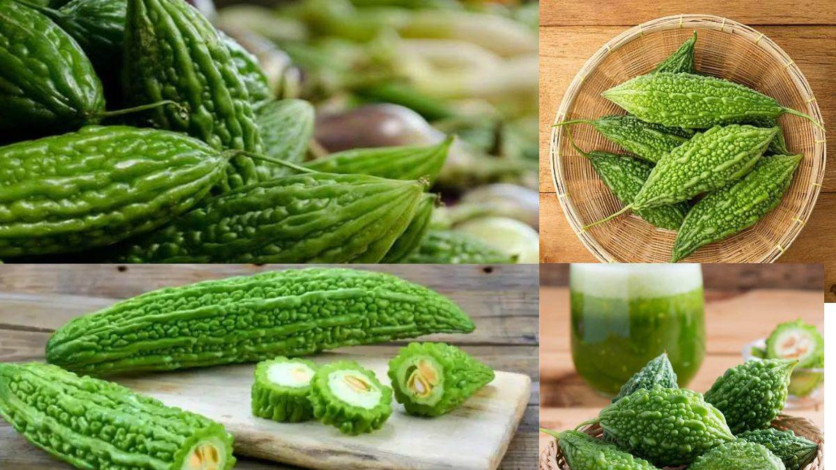 करेला खानुहुन्छ ? बनाउँछ यस्तो गम्भीर रोग निको!