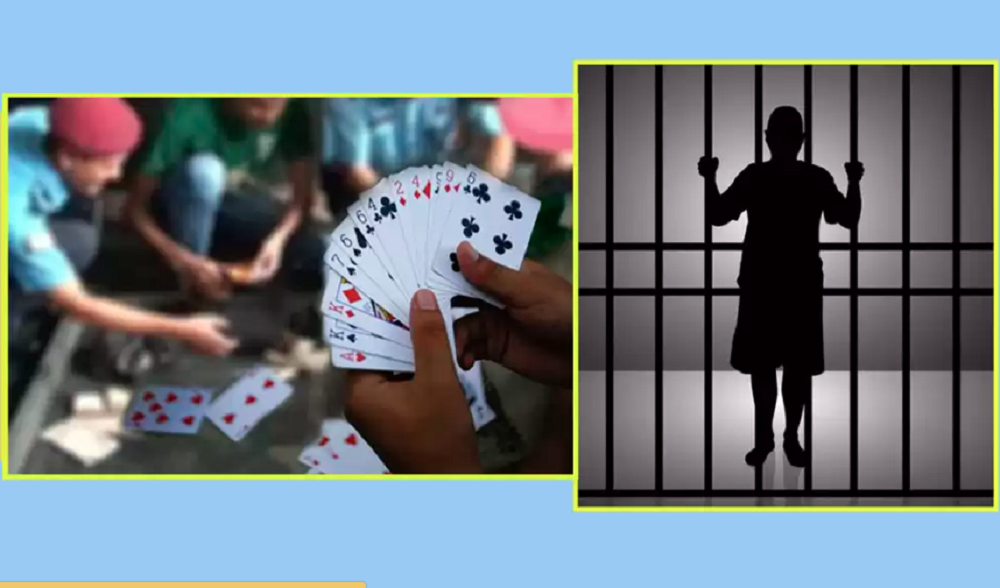 पेप्सीकोलाबाट जुवा खेलिरहेको अवस्थामा १४ जना पक्राउ