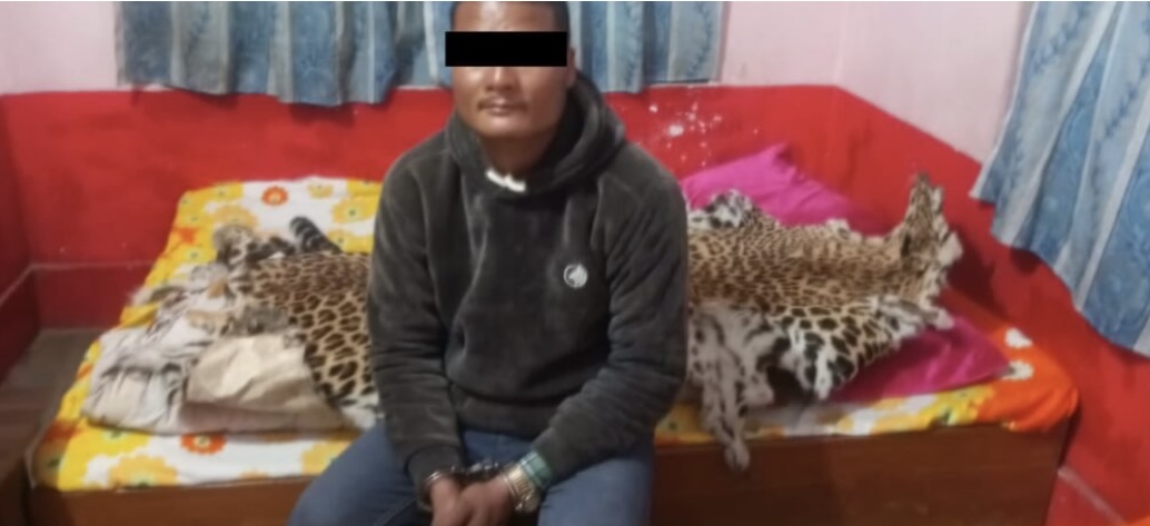 होटलमा बसेका  साउँदसँग भेटियो चितुवाको छाला