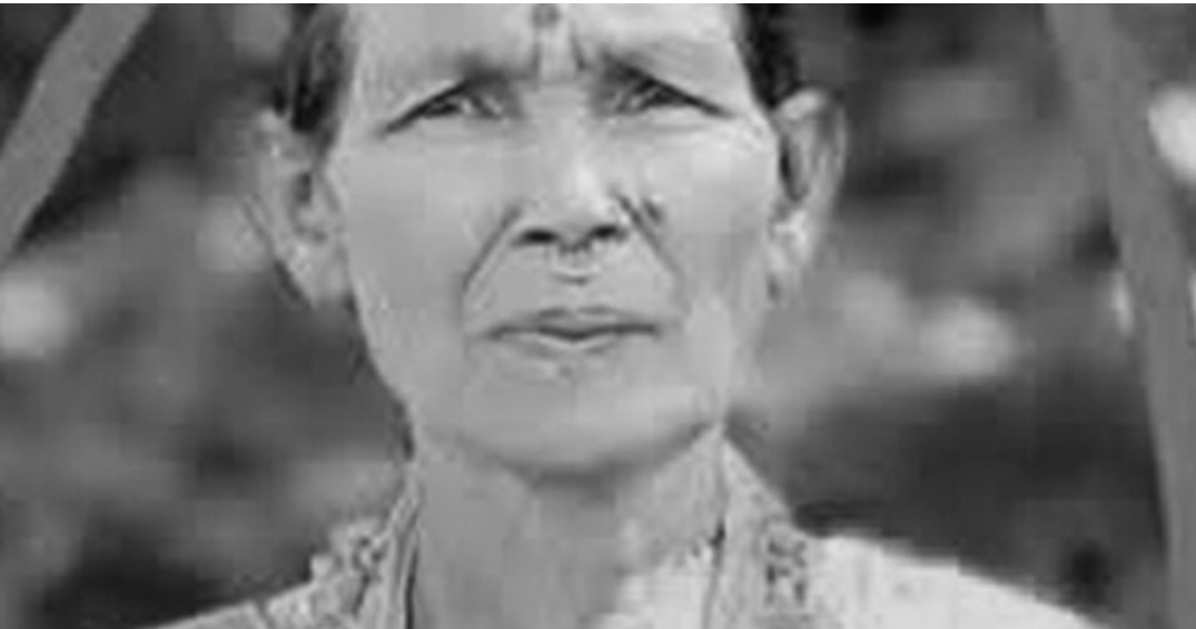 भिरबाट लडेर एक महिलाको मृत्यु