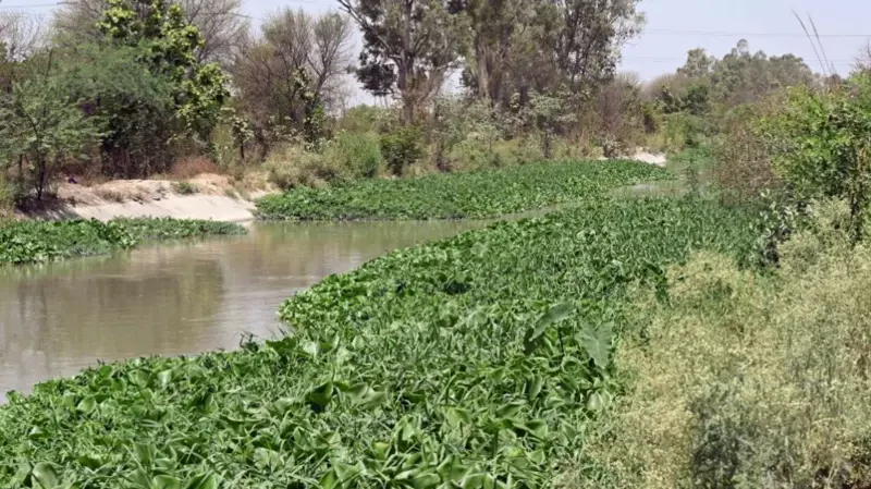 भारत :  इजरायली पर्यटक सहित दुई महिला बलात्कृत, घटना रोक्न खोज्ने पुरुषको मृत्यु