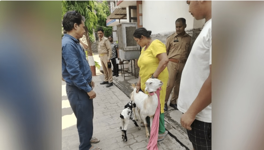 एउटा पाठो, दुई महिलाको दाबीः प्रहरीले यसरी सुल्झायो विवाद