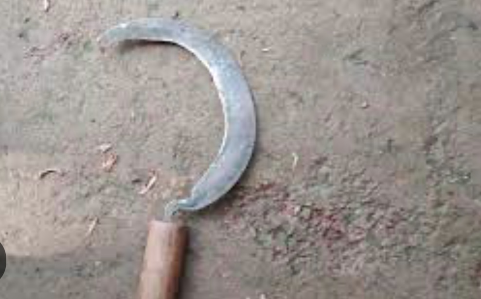 नातीमाथि बाजेले गरे हँसिया प्रहार