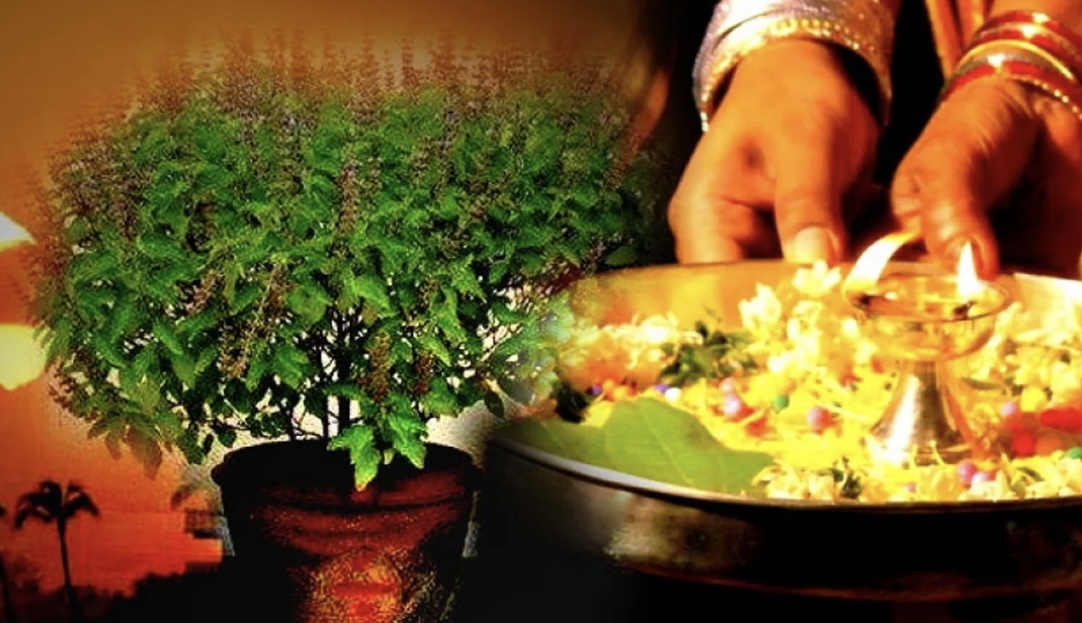 तुलसी पूजा गर्नुका फाइदाहरू के के छन् ?
