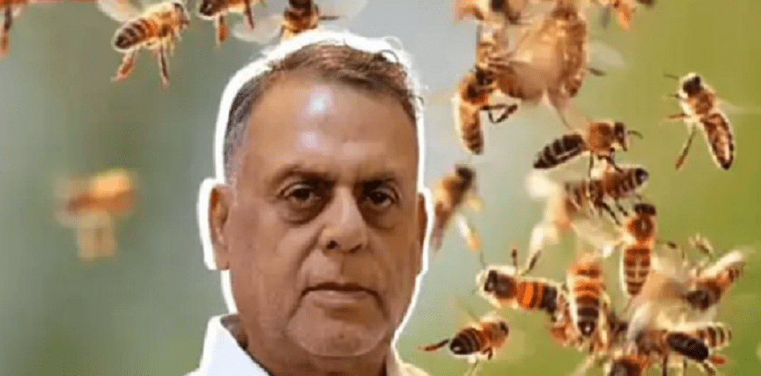 ‘मर्निङ वाक’ मा निस्किएका व्यवसायीमाथि मौरीको हमला, बेहोस भएलगत्तै मृत्यु
