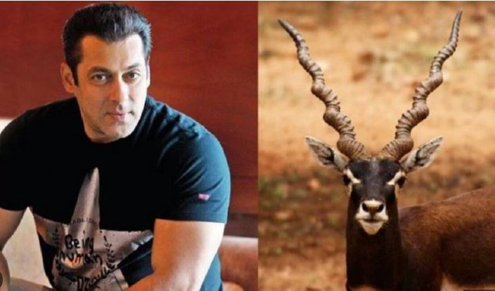 सलमानको ‘कालो हरिण शिकार’ को सुनवाई जुलाई २८ मा, ५ बर्ष जेल जालान त ?