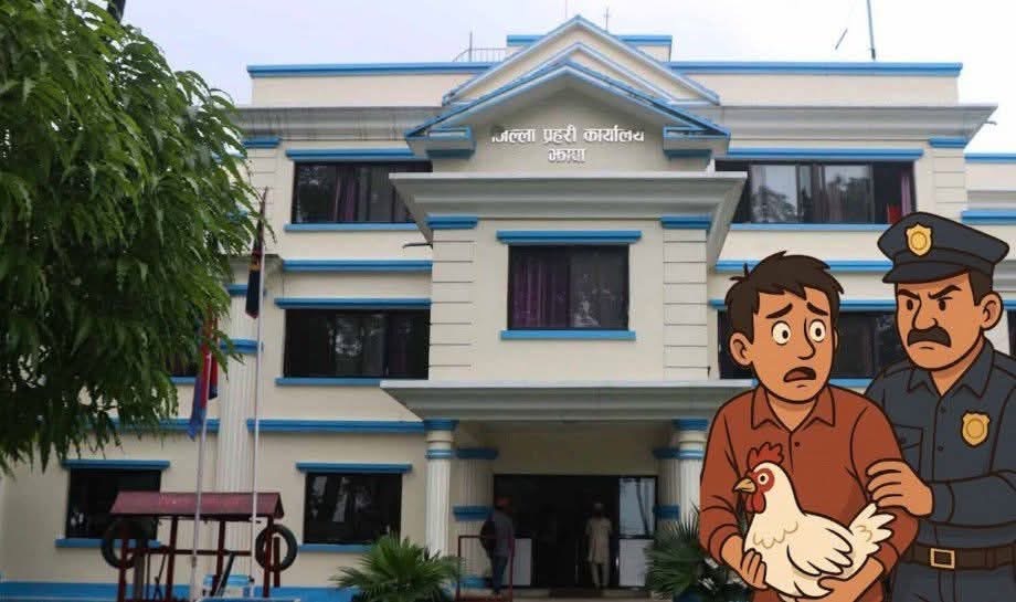 झापामा करणी पछि कुखुराको पोथीको मृत्यु