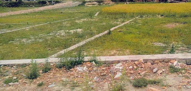 सरकारले खुलायो घरजग्गा कारोबारको लागि लाइसेन्स, शुल्क कति ?