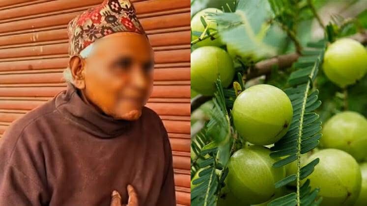 झापाको चर्चित अमला काण्डका आरोपित ७९ वर्षीय वृद्धलाई जिल्ला अदालतले गर्यो निर्दोष प्रमाणित