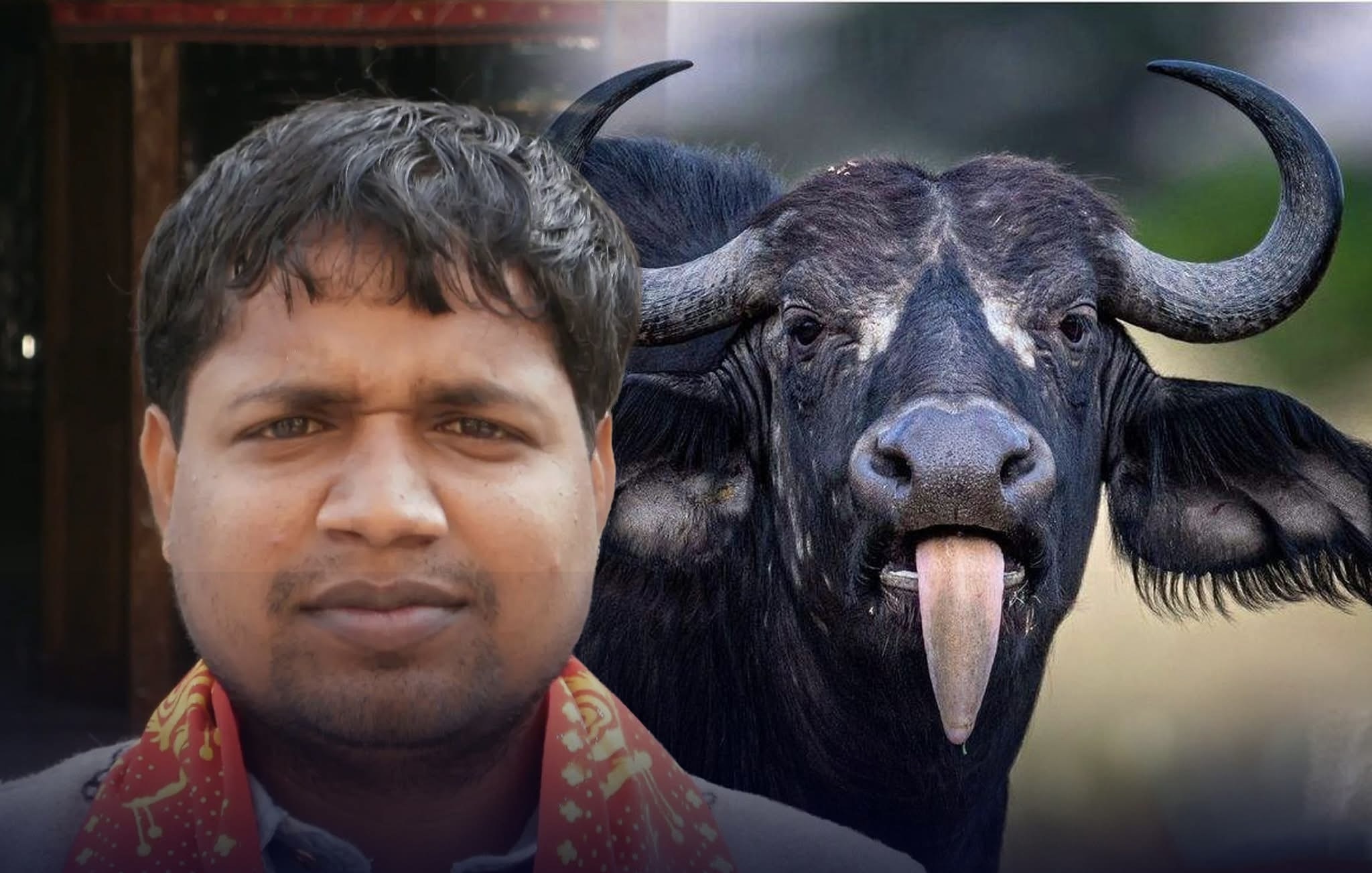 उपेन्द्रबाट अलग भएकाहरूले दर्ता गराए जलोपा, चुनाव चिह्न भैँसी !