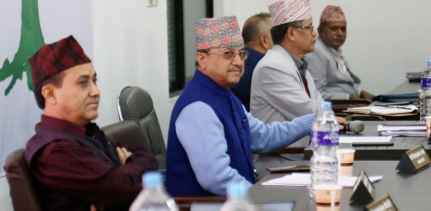 कांग्रेस केन्द्रीय समिति बैठकमा होहल्ला
