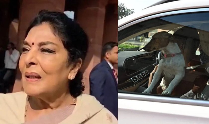 कुकुर लिएर संसद् परिसर पुगेकी सांसद्ले भनिन् – टोक्नेहरू त संसदभित्रै छन्