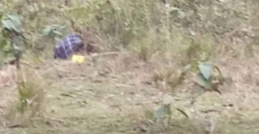 झाडीमा भेटियो वन रक्षकको काटिएको टाउको