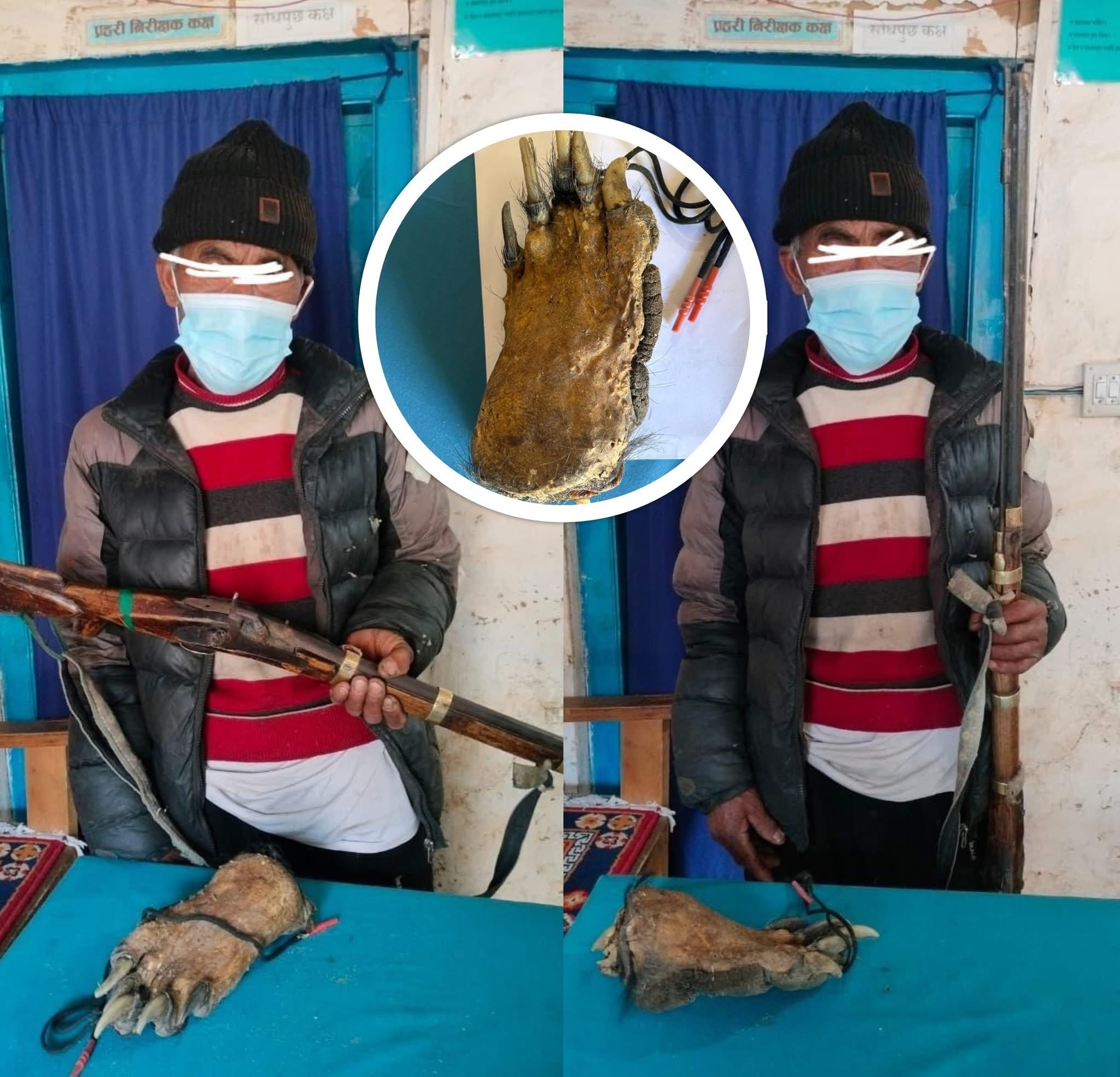 घरमा लुकाएर राखेका थिए भालुको पन्जा, गाउँकै कसैले  प्रहरीकोमा खबर पुर्याइदिएपछि समातिए ७४ वर्षका वृद्ध