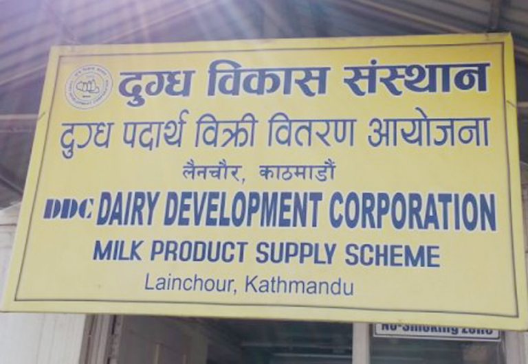 डिडिसीबाट सिआइबीले कागजात नियन्त्रणमा लियो, अनुसन्धान जारी