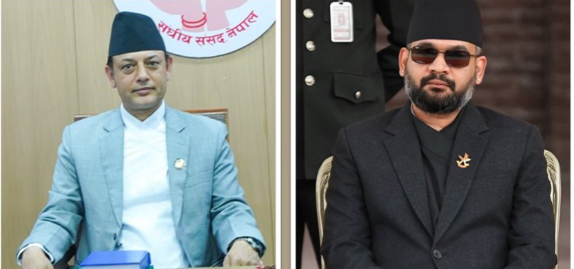 प्रधानमन्त्री बालेन भेट्न पुगे सभामुख डीपी